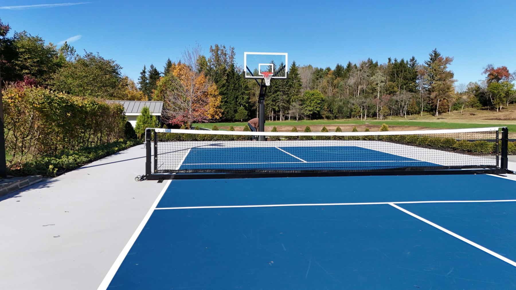 Court-level view across the net toward a basketball hoop and tree line